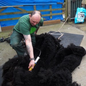 SAMSUNG DIGITAL CAMERA